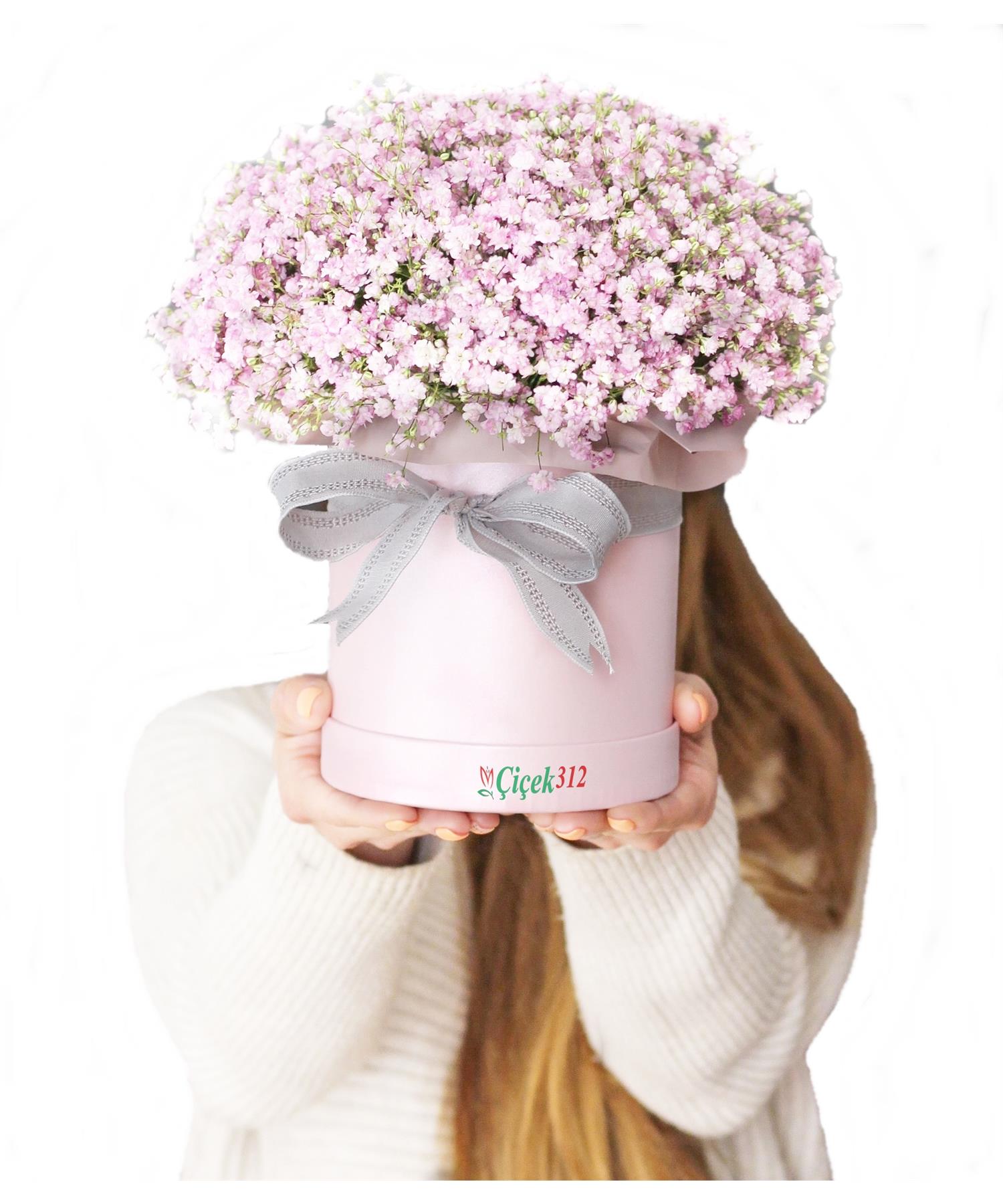 Kutuda Pembe Cipsofilya(Şans Çiçeği)Sevgili/EşAnkara Çiçek