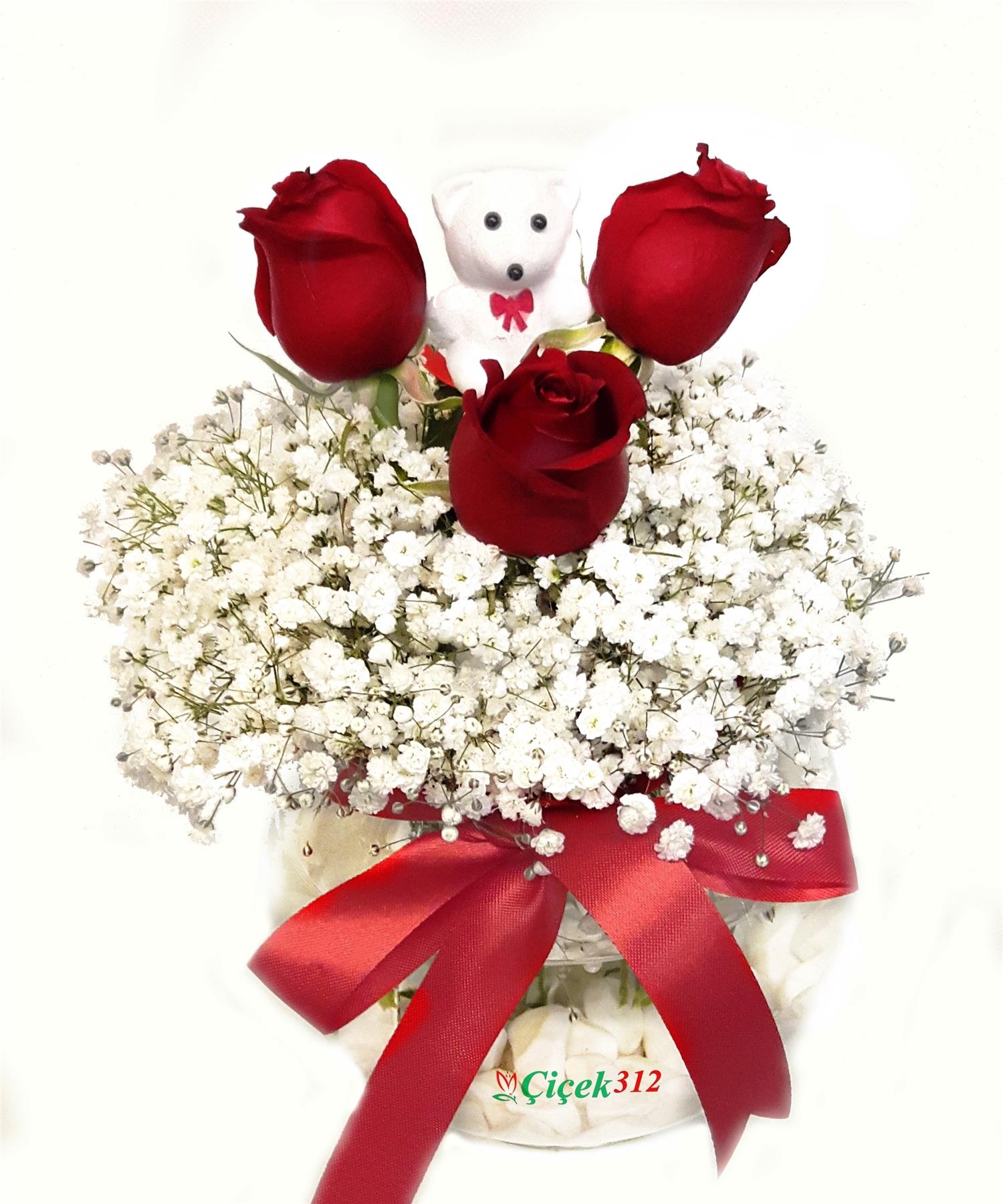 Şansın Bol Olsun Cipsofilya(Şans Çiçeği)Sevgili/EşAnkara