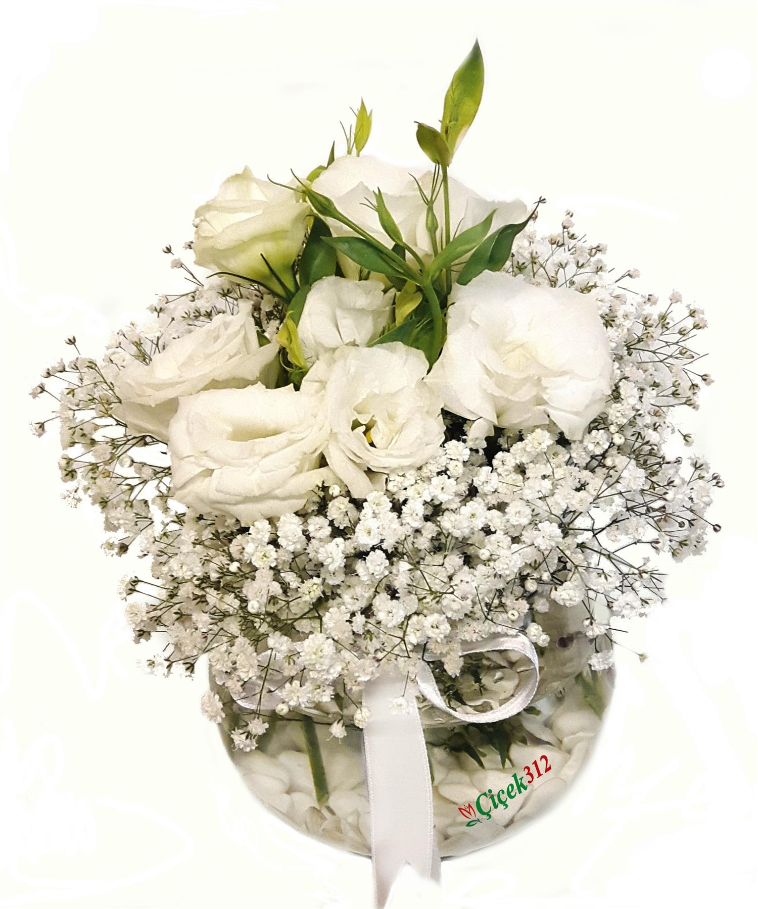 Şansın Bol Olsun Cipsofilya(Şans Çiçeği)Sevgili/EşAnkara