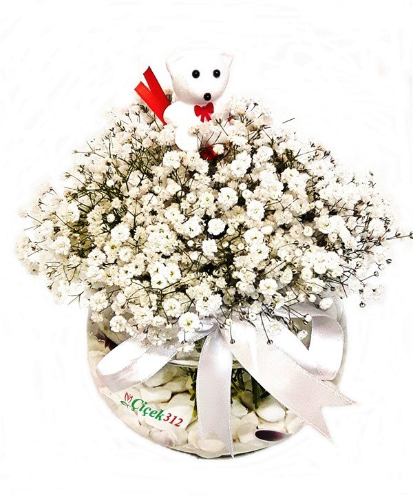 Şansın Bol Olsun Cipsofilya(Şans Çiçeği)Sevgili/EşAnkara