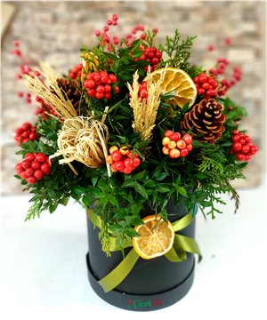 Kutuda Kokina Düzenlemesi