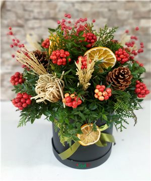 Kutuda Kokina Düzenlemesi