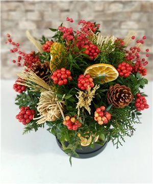 Kutuda Kokina Düzenlemesi