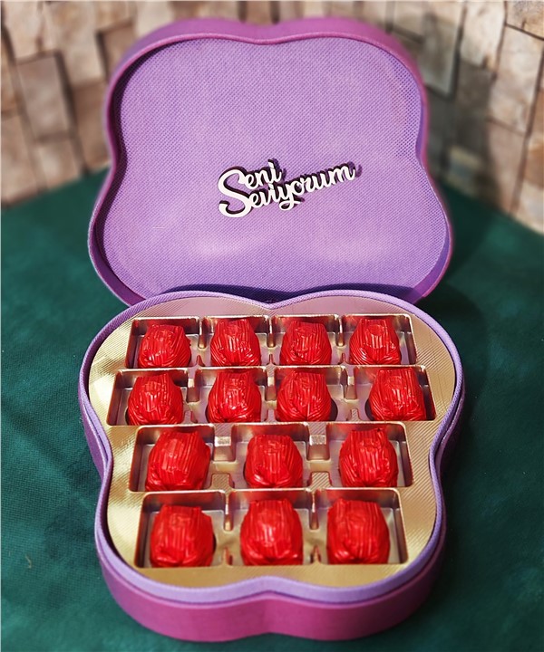 Dekoratif Kutuda Schöne Spesiyal Çikolata07ÇikolataAnkara Çiçek