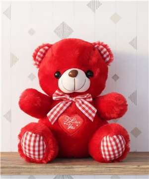 Kırmızı Peluş Ayıcık