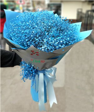 Mavi Esinti Cipsofilya(Şans Çiçeği)